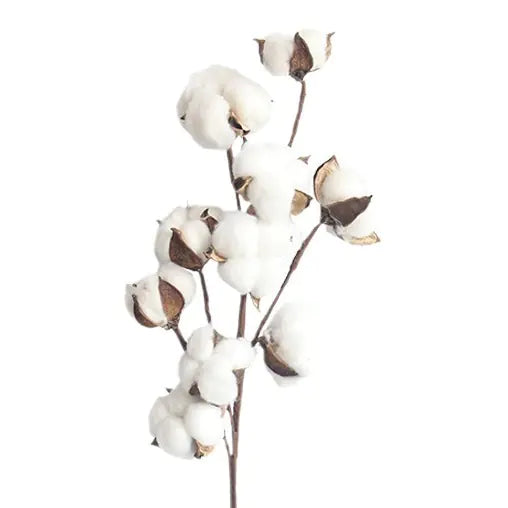 Elegant Simulated Cotton Branches